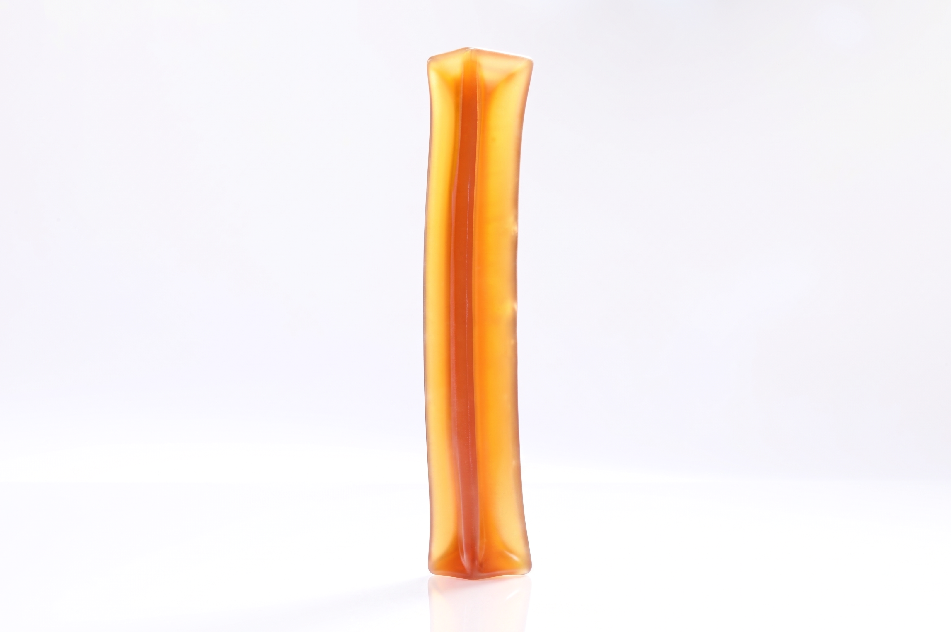 The Bone Broth Chew