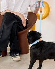 The Fritz Leash