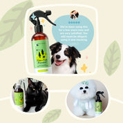 Flea|Tick Protect Spray (Lemongrass)