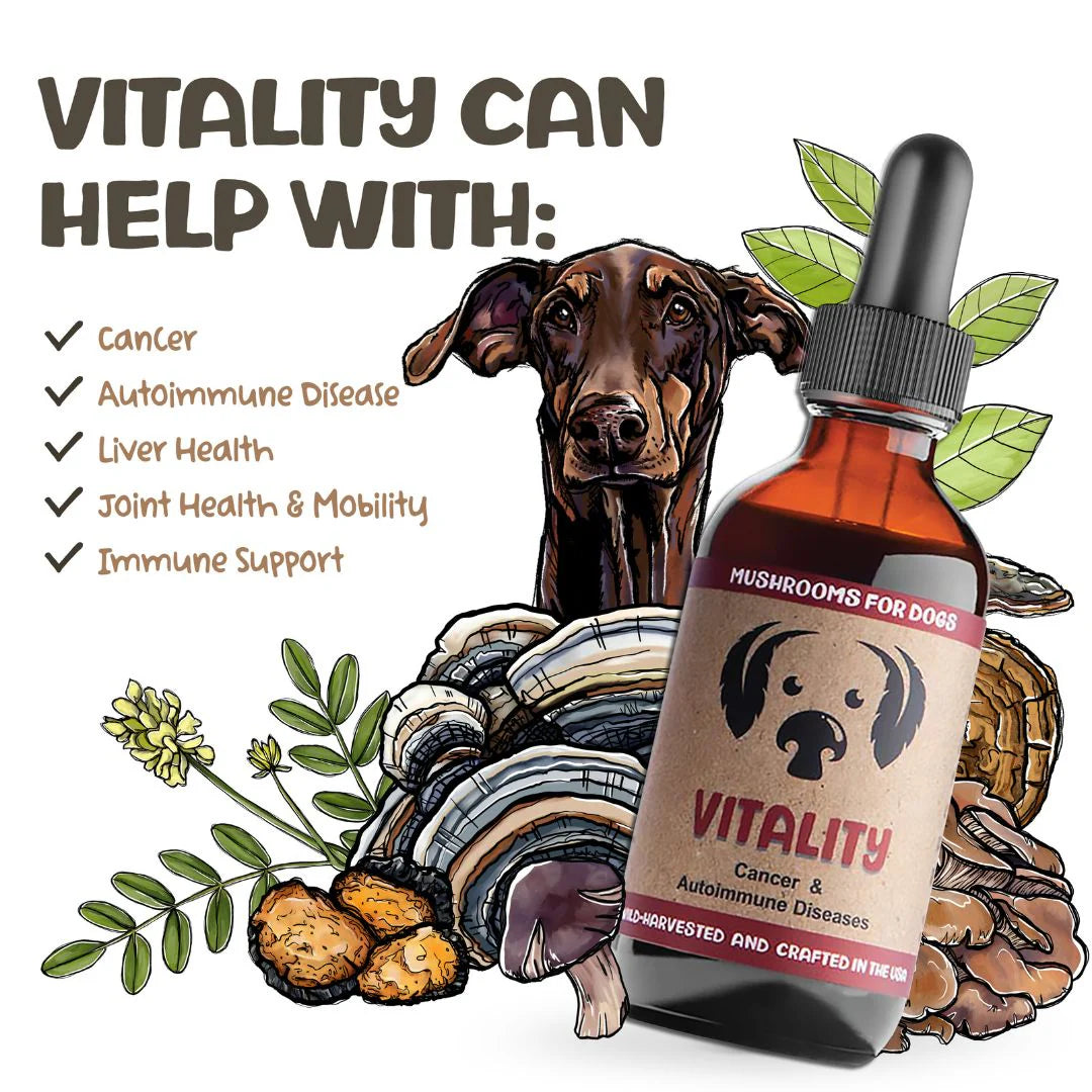 MycoDog Vitality