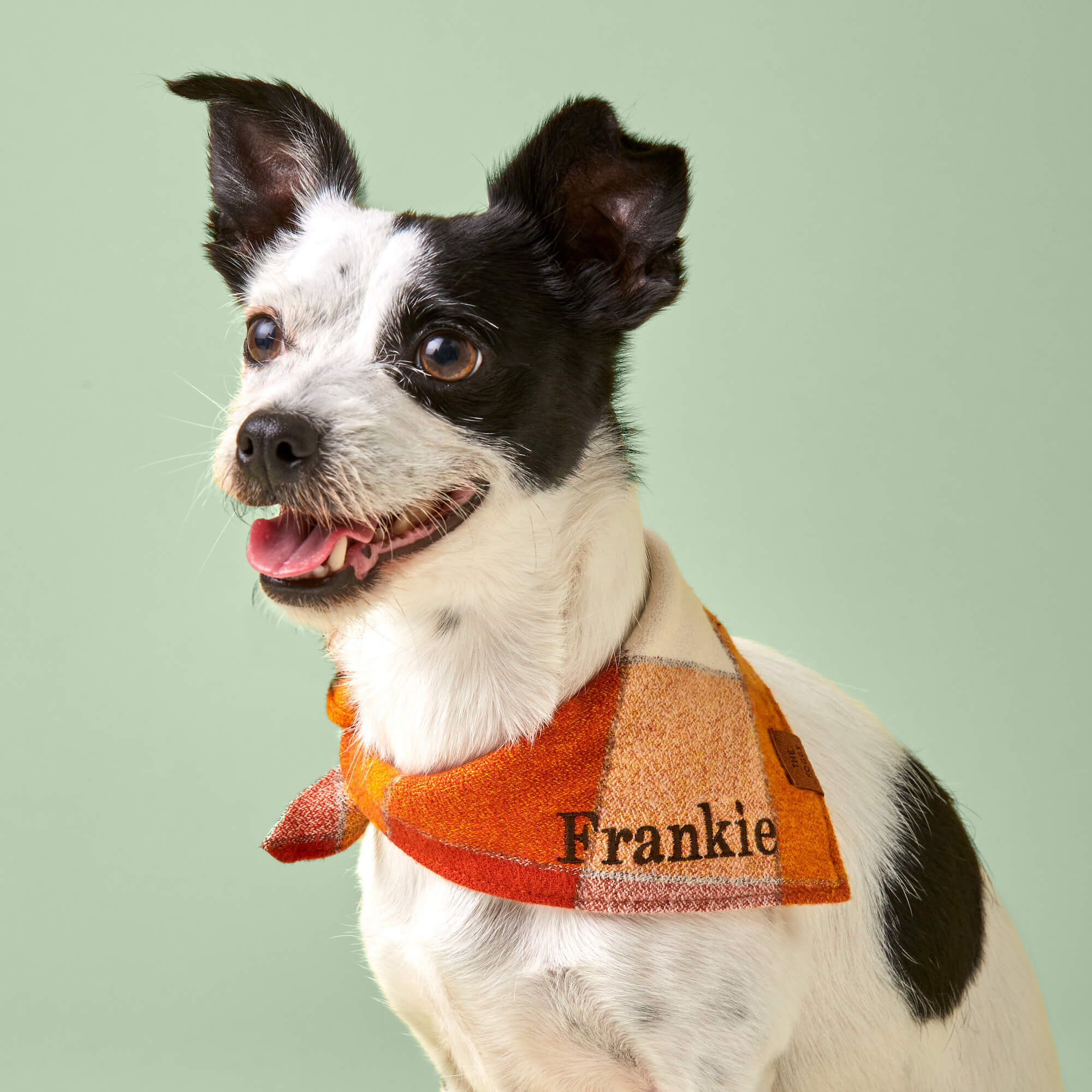 CROP_PumpkinSpice_Flannel_Bandana_24-06-18_23121_c1c03e6d-21cf-4df9-b225-baf98e5aadcb.jpg