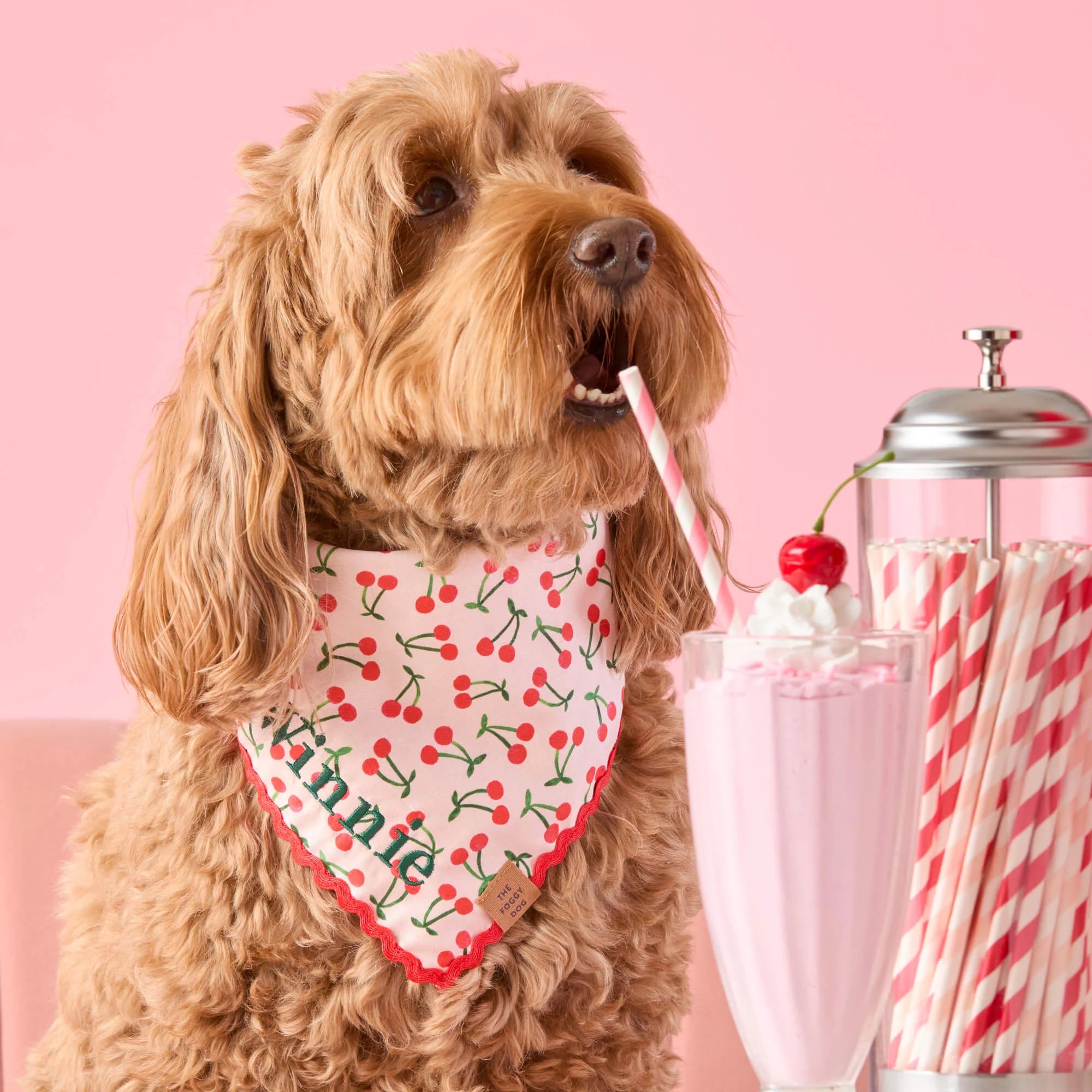 Cherry Jubilee Dog Bandana