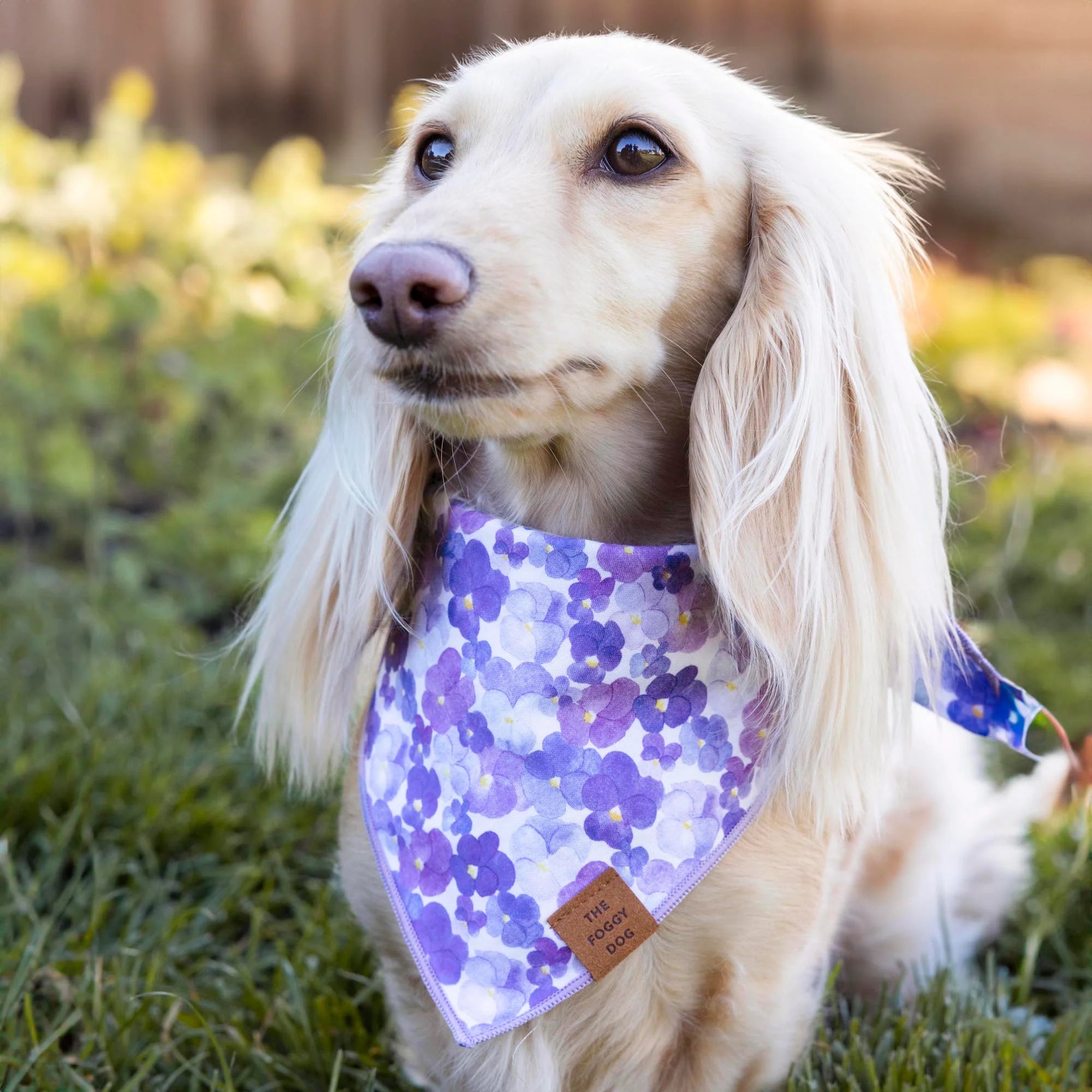 Pressed Pansies Spring Dog Bandana