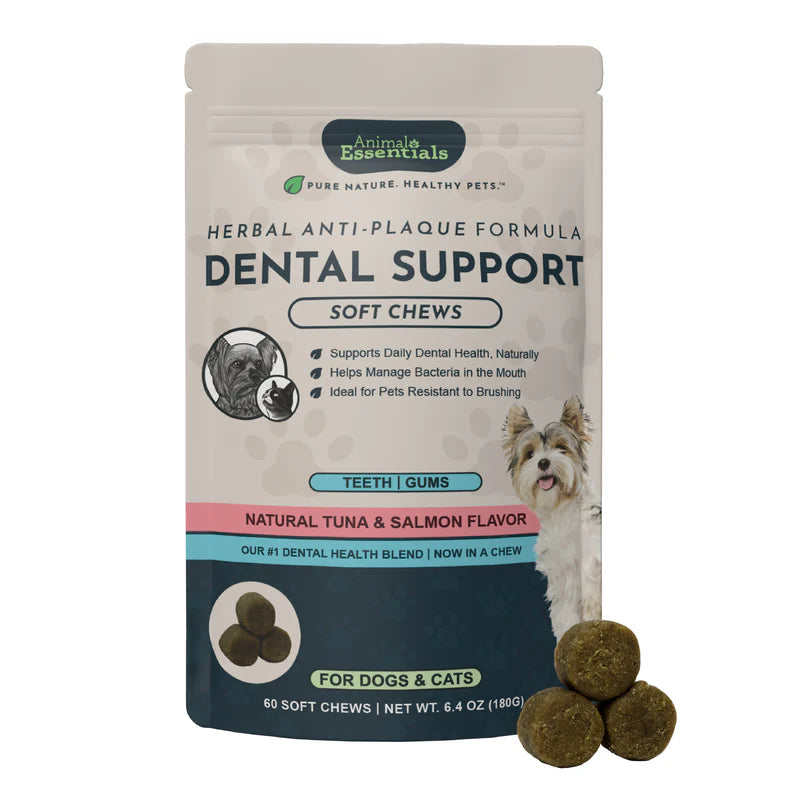 Dental_Chews_1_211e21cc-38a3-4c58-ba23-1014918756b5.webp