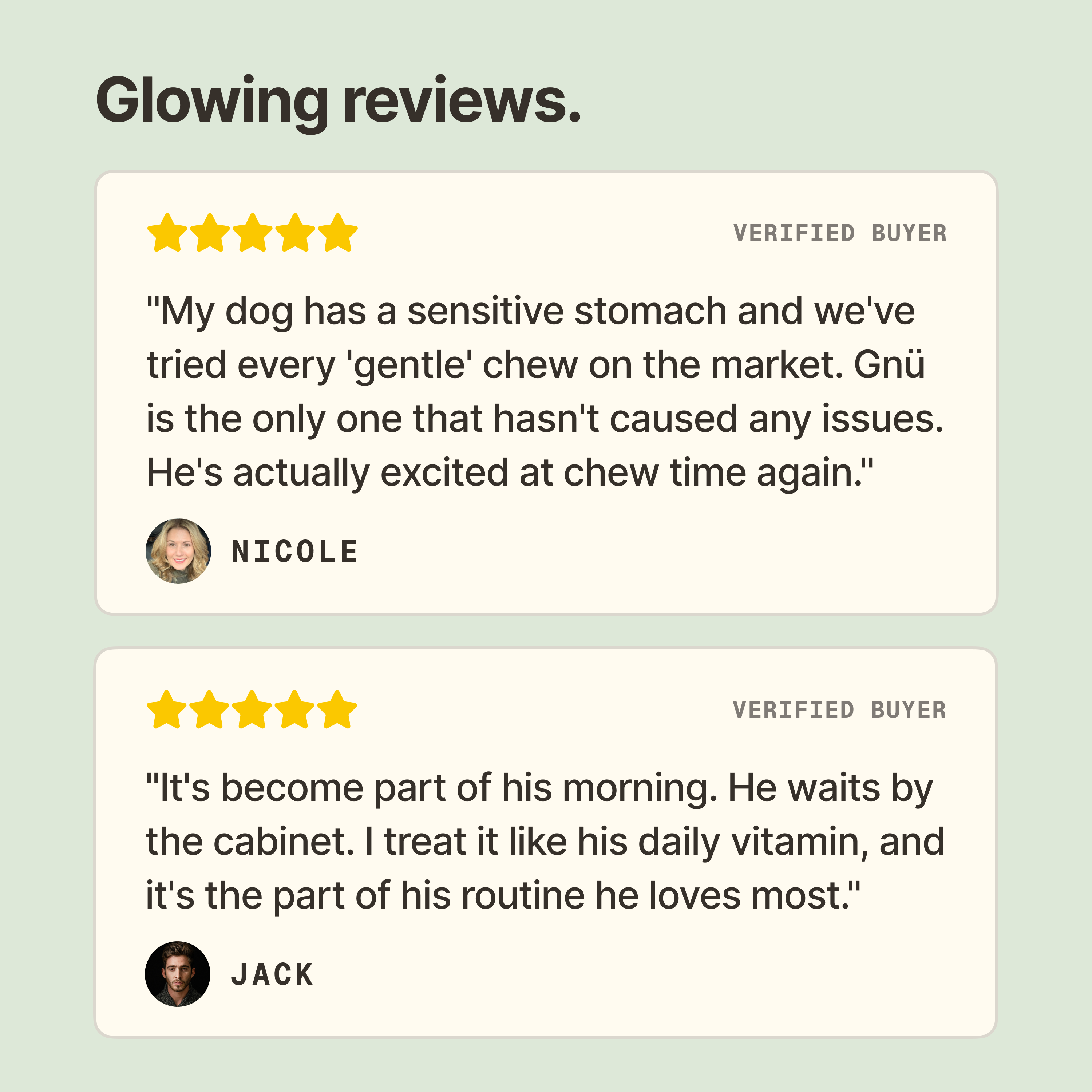 The Bone Broth Chew