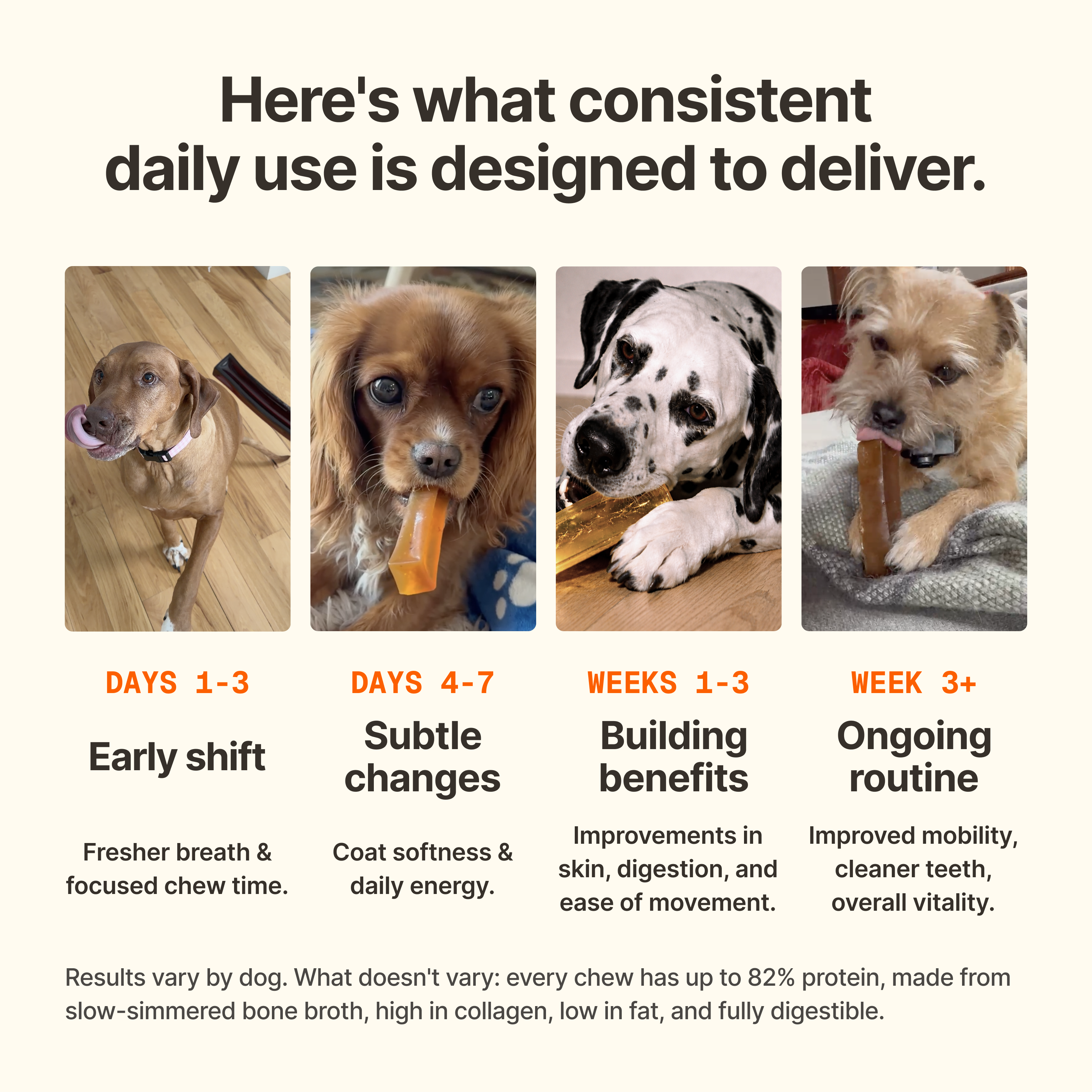 The Bone Broth Chew