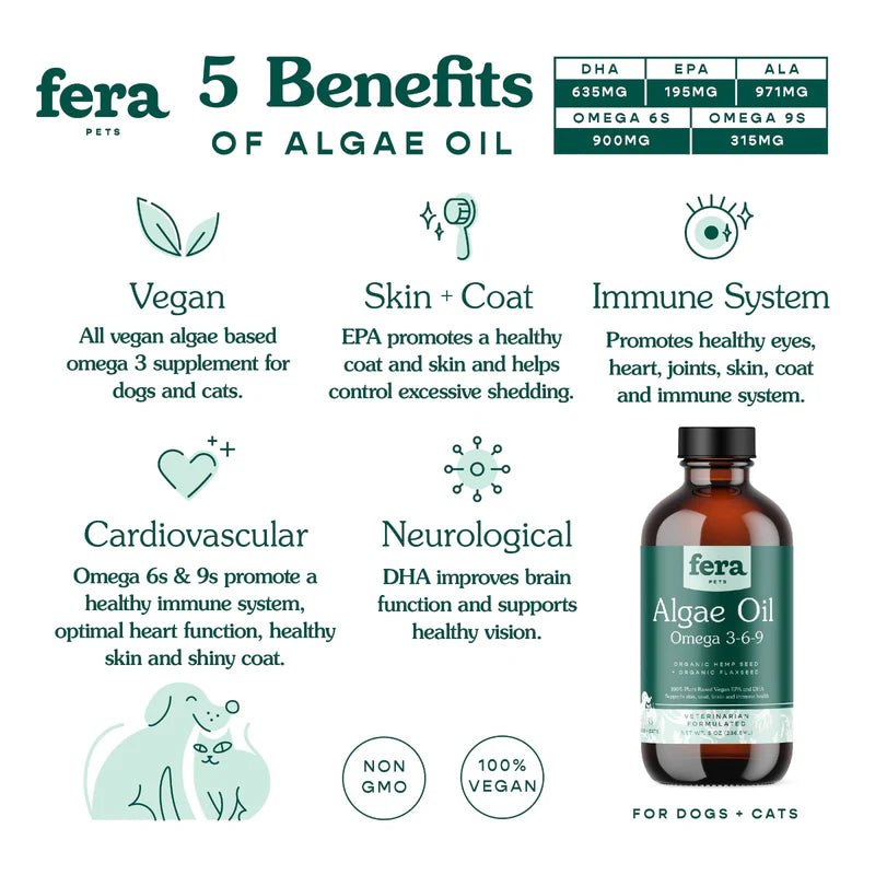 FRA_Algal_WebImages_0724_Fish_Oil-01.webp