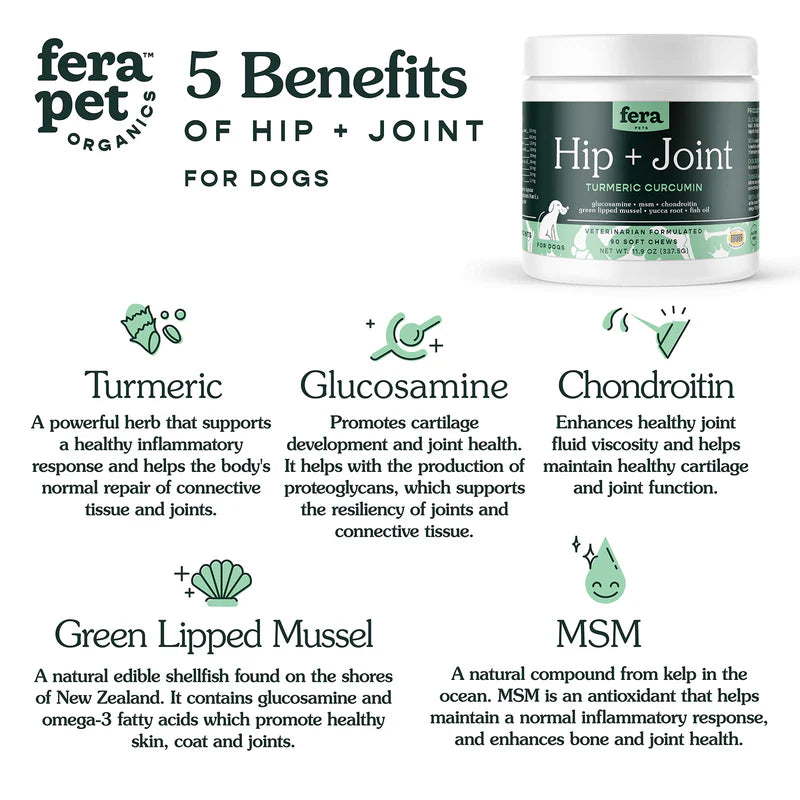 Hip + Joint Support