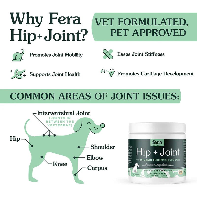 Hip + Joint Support