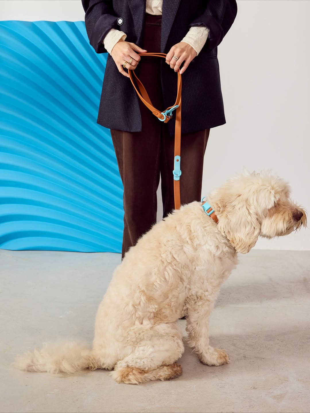 The Fritz Leash