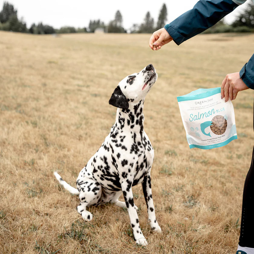 GJJ-Salmon-Freeze-Dried-Whole-Food-Bites.webp