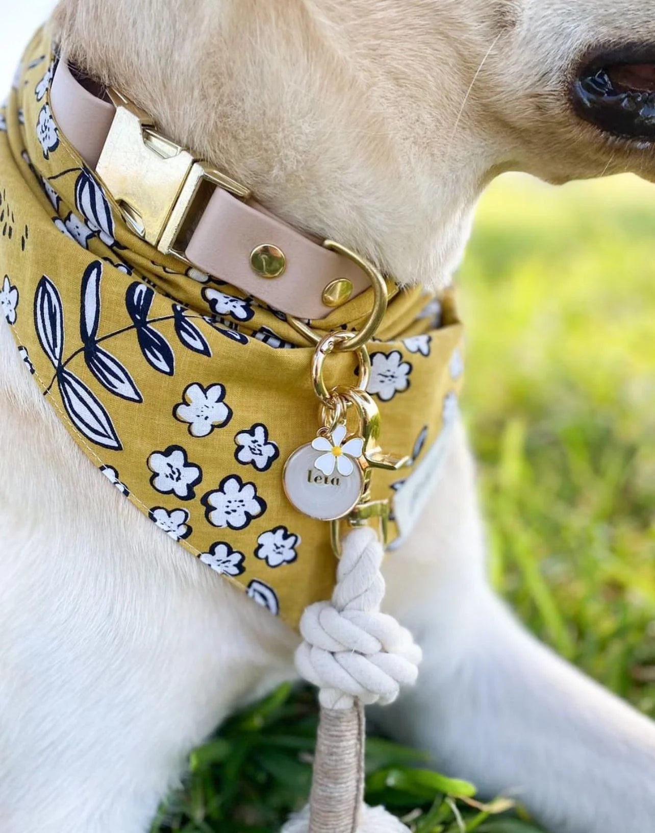 Goldie Bandana