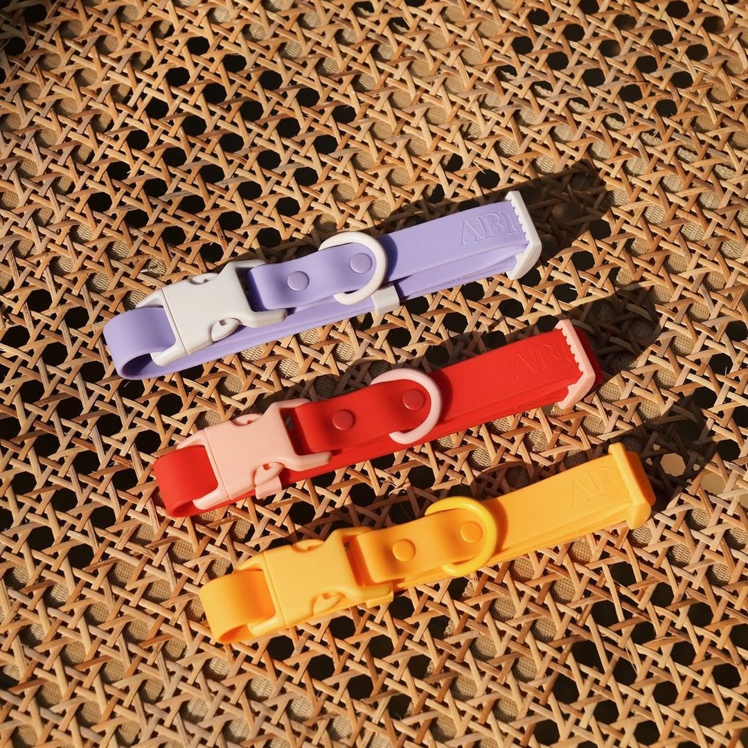 Have_you_spotted_your_pups_new_collar_already.jpg