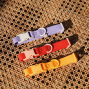 Fritz Collar + Leash Walk Set