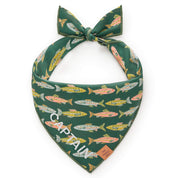 Gone Fishing Dog Bandana