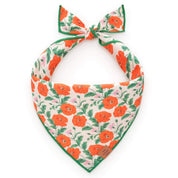 Golden Poppies Dog Bandana
