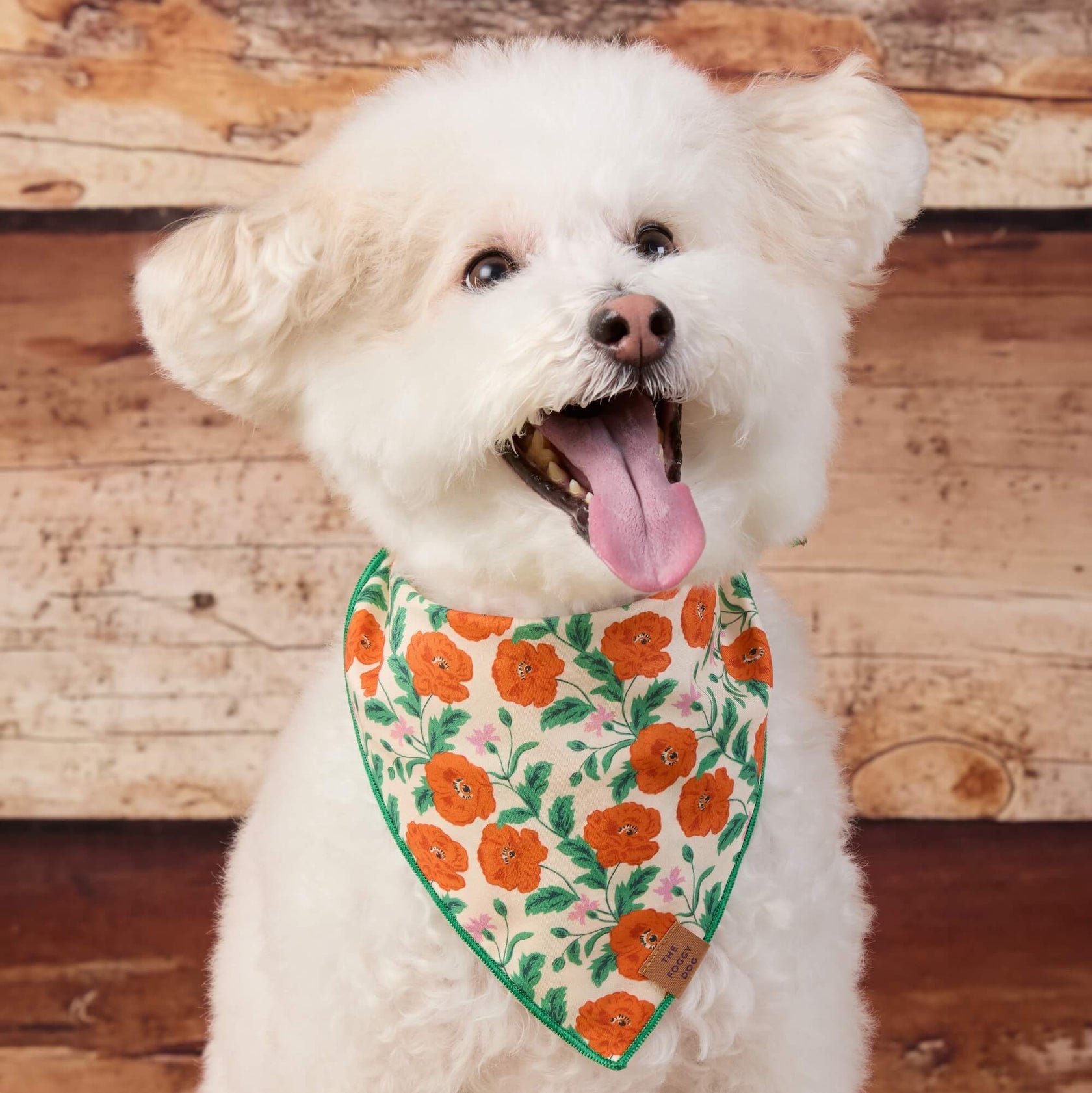 Golden Poppies Dog Bandana