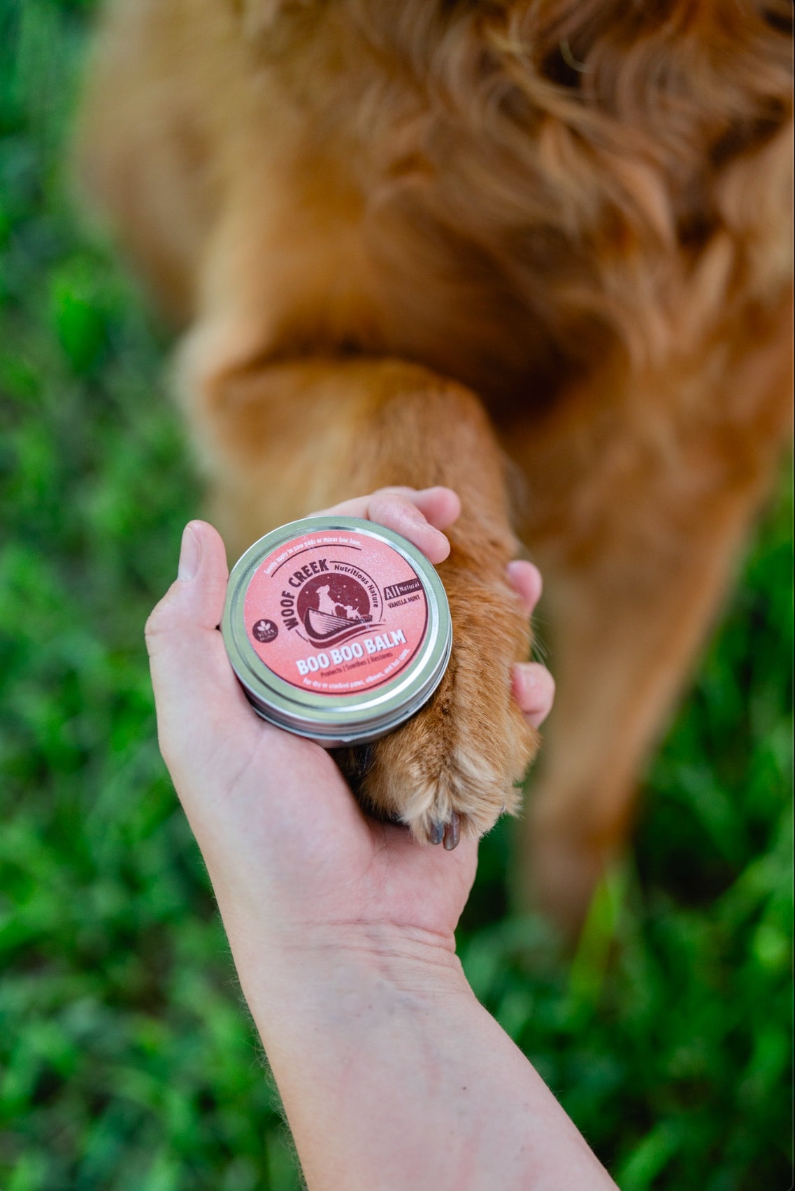 Boo Boo Balm | Lick-Safe Balm for Dogs & Cats | Paws + Body