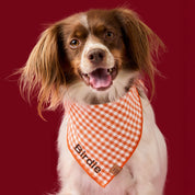 Cider Gingham Dog Bandana