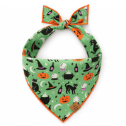 Spellbound Reversible Dog Bandana