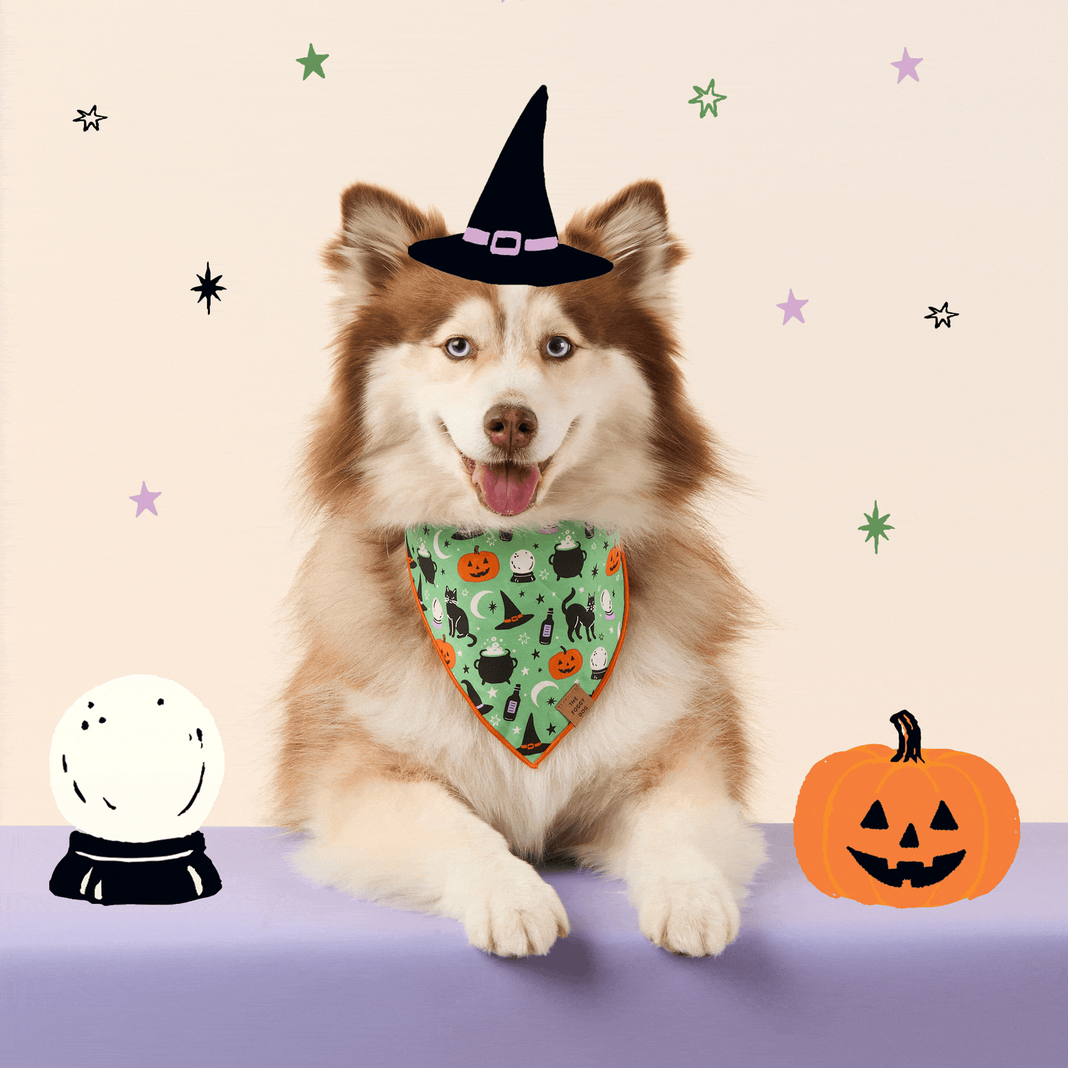 IMG-4257.gif