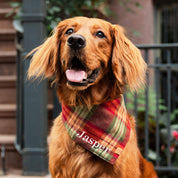 Orchard Plaid Flannel Dog Bandana