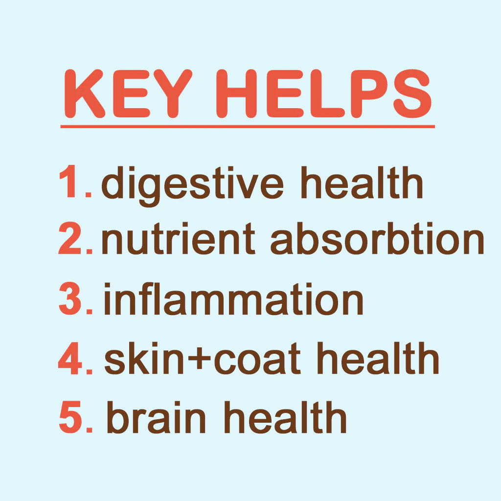 Key-Helps-CocoGhee_3000x_ff73c95d-38f6-4341-a993-01324b71b338.webp