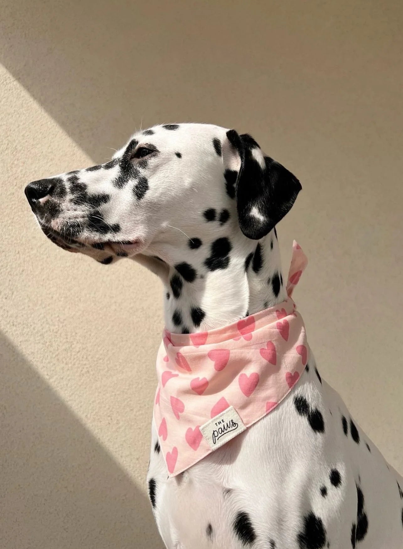 Miss Muffy Dog Bandana