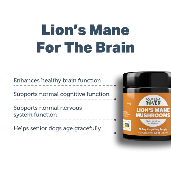 PBI-Benefits-Lion_sMane.jpg