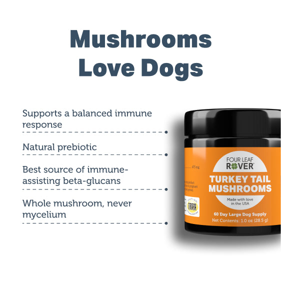 PBI-Benefits-TurkeyTail.jpg