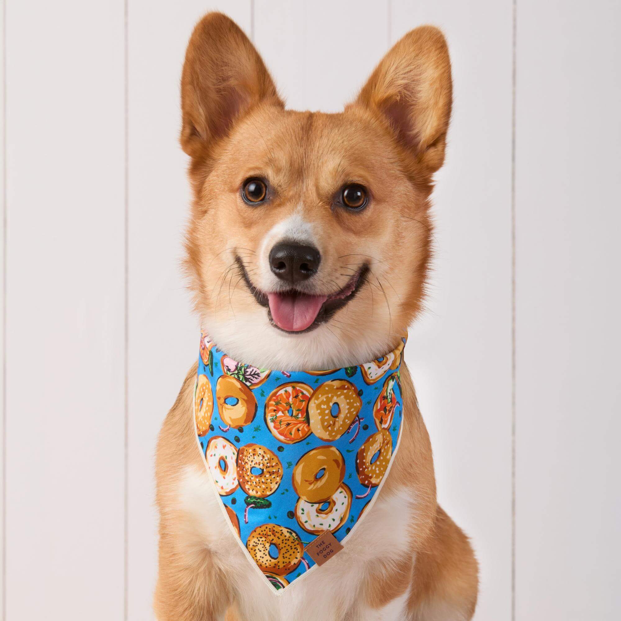 PF26_Bagels_Schmear_BAN_26-02-18_8953-Crop2.jpg