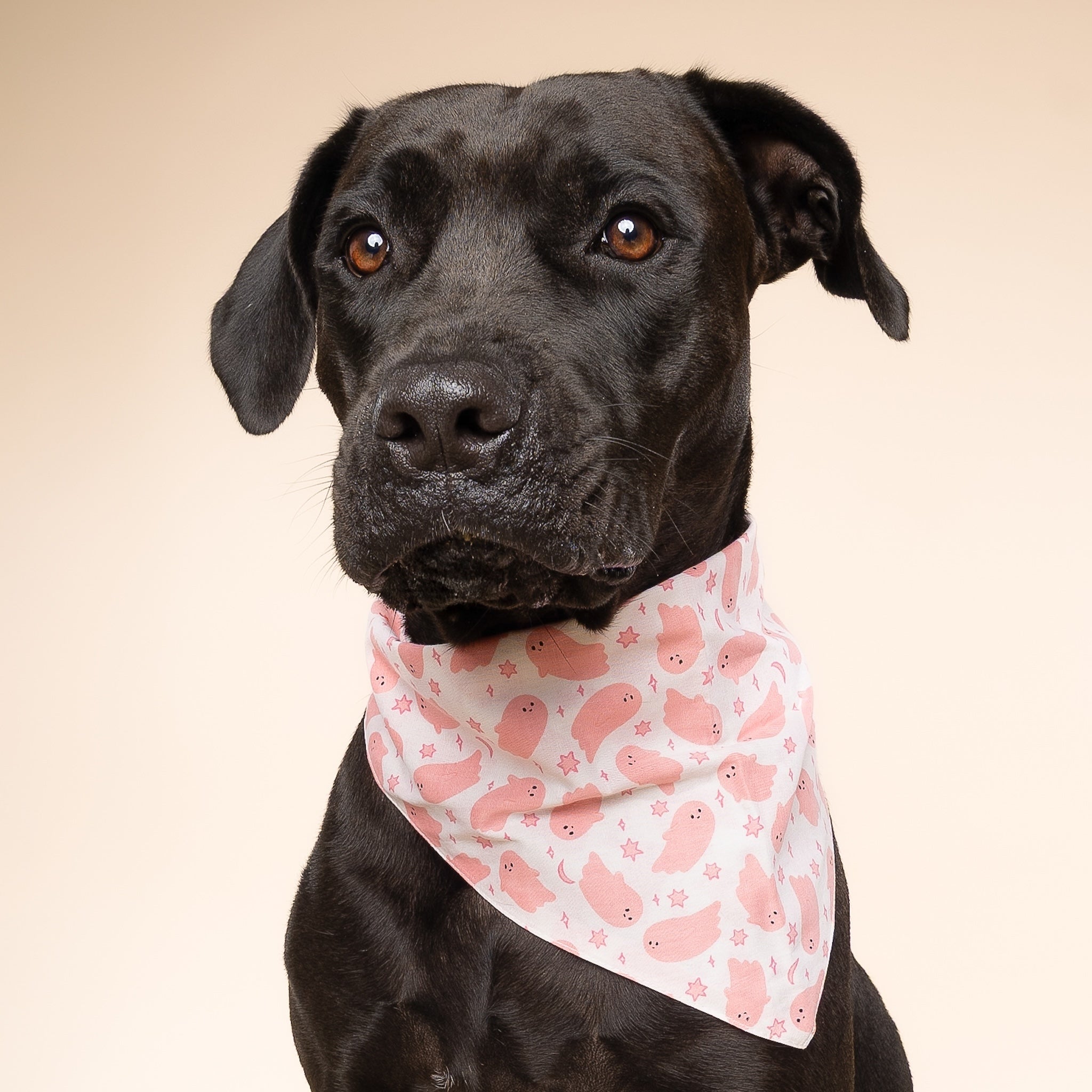 Pinkaboo Dog Bandana
