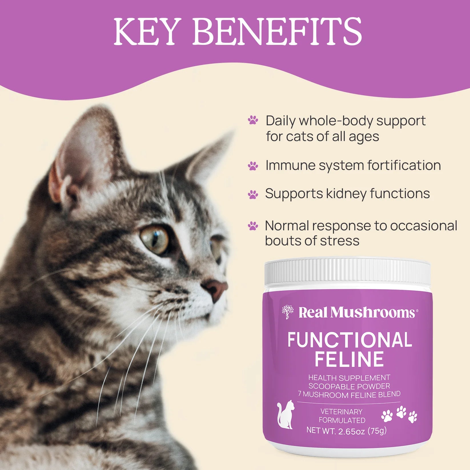 Functional Feline Powder for Cats