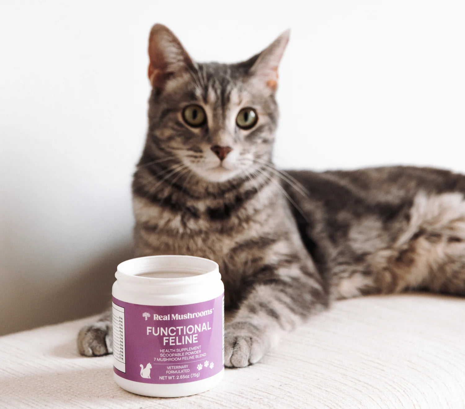 Functional Feline Powder for Cats