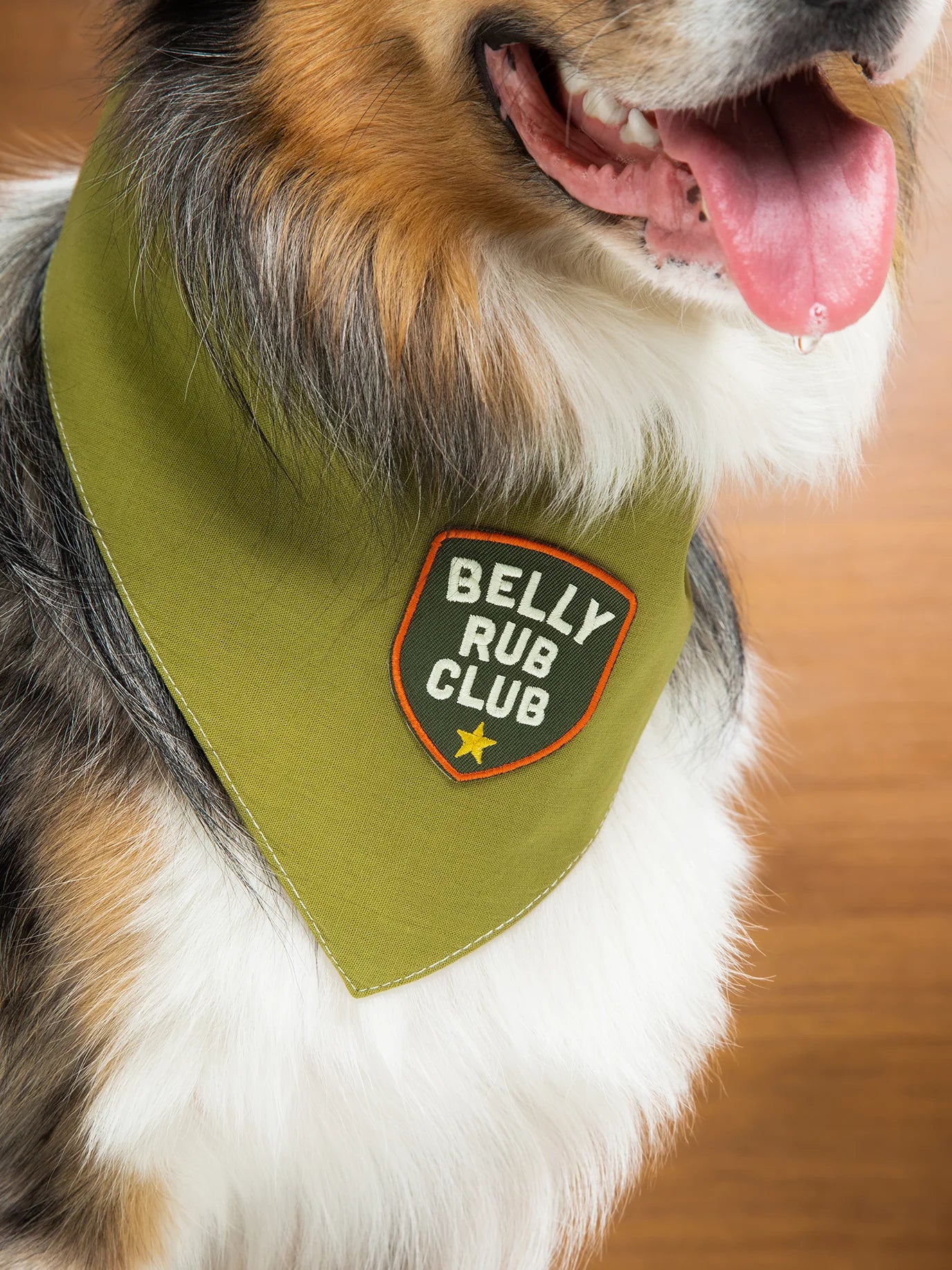 Belly Rub Club (iron-on patch)