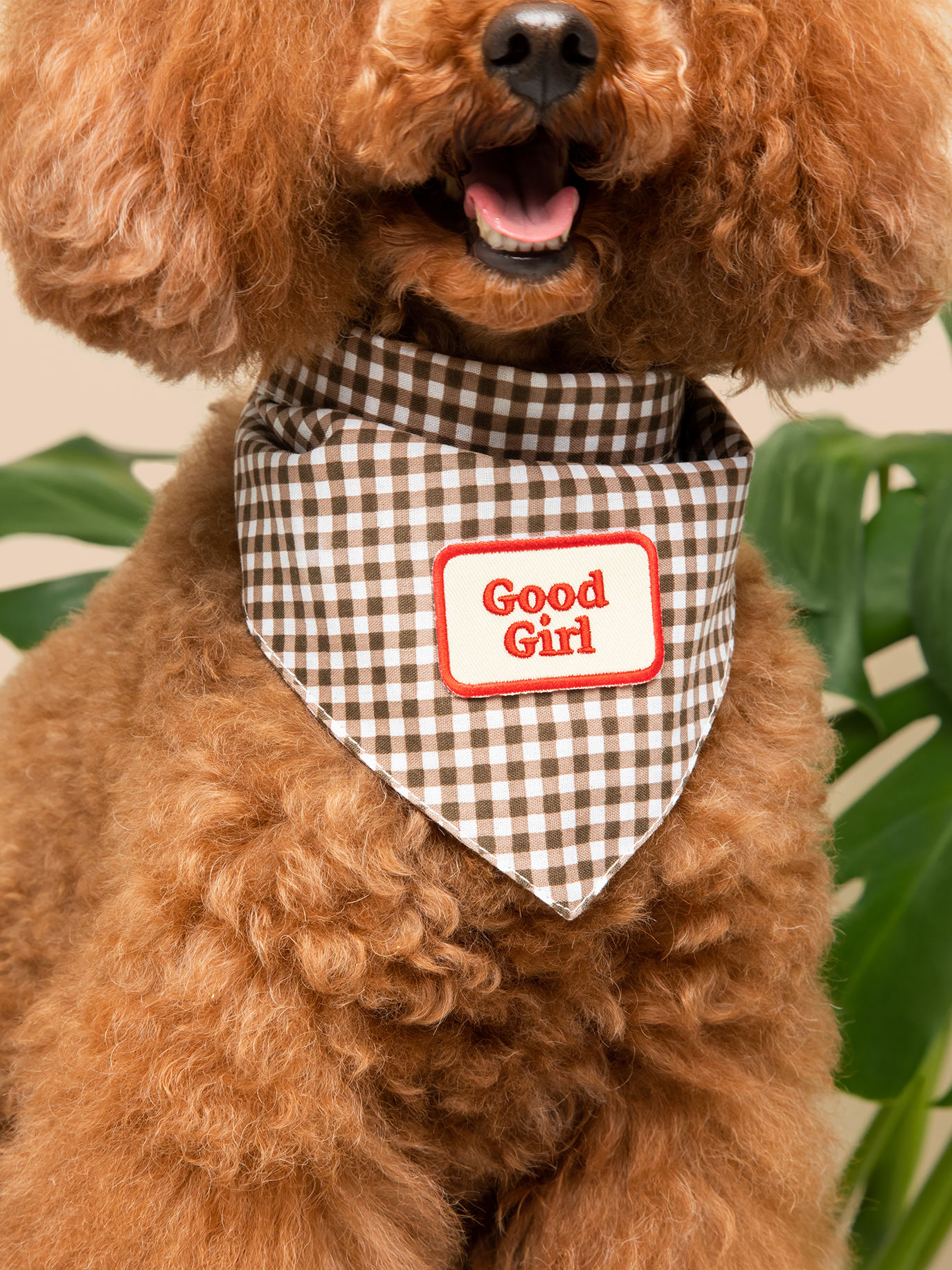 Good Boy (iron-on patch)