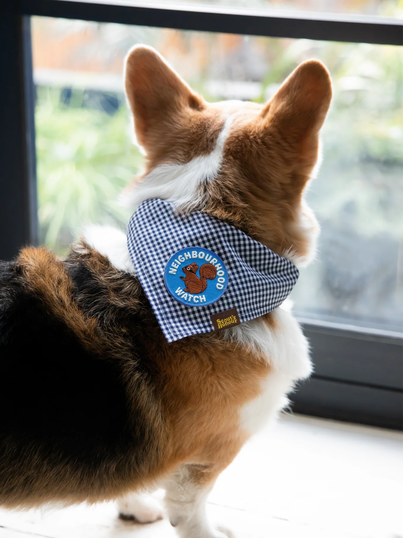 SH_Neighbourhood_Blue_01.webp