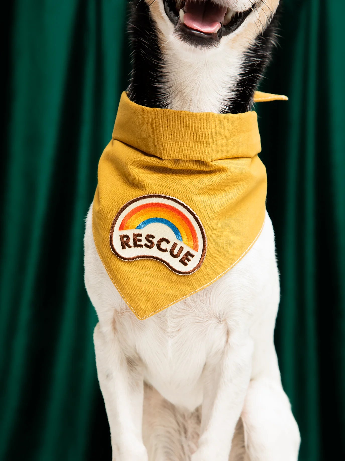 Mustard Scout Bandana