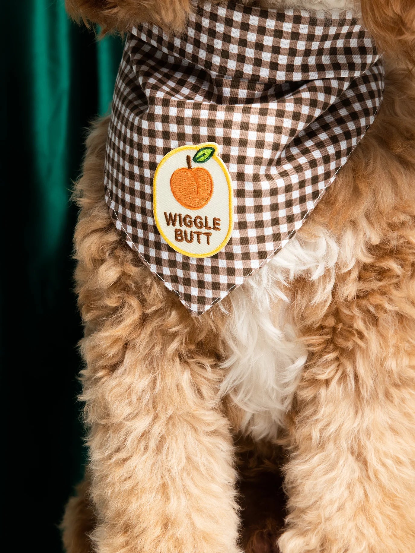 SH_WiggleStudio_02.webp