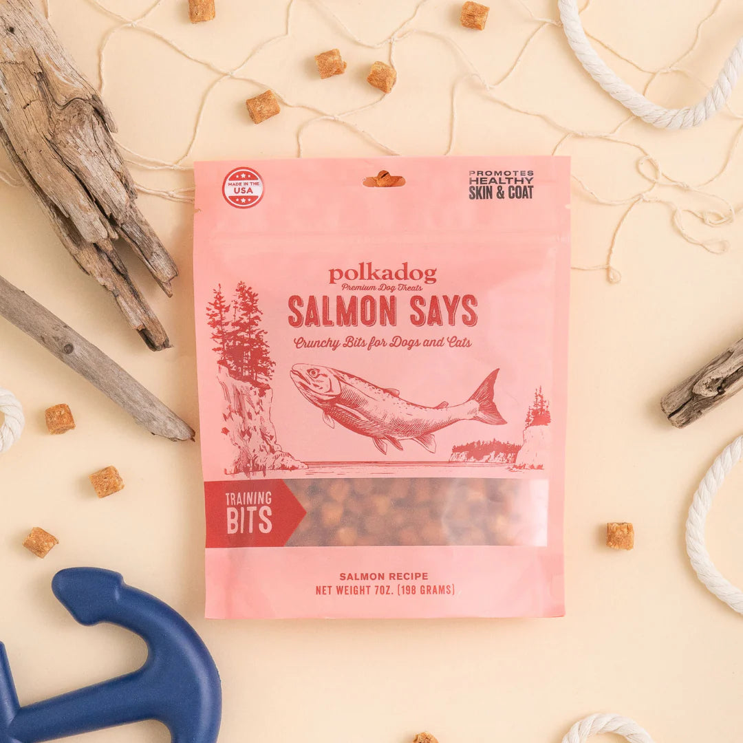SalmonSaysBits-styled.webp