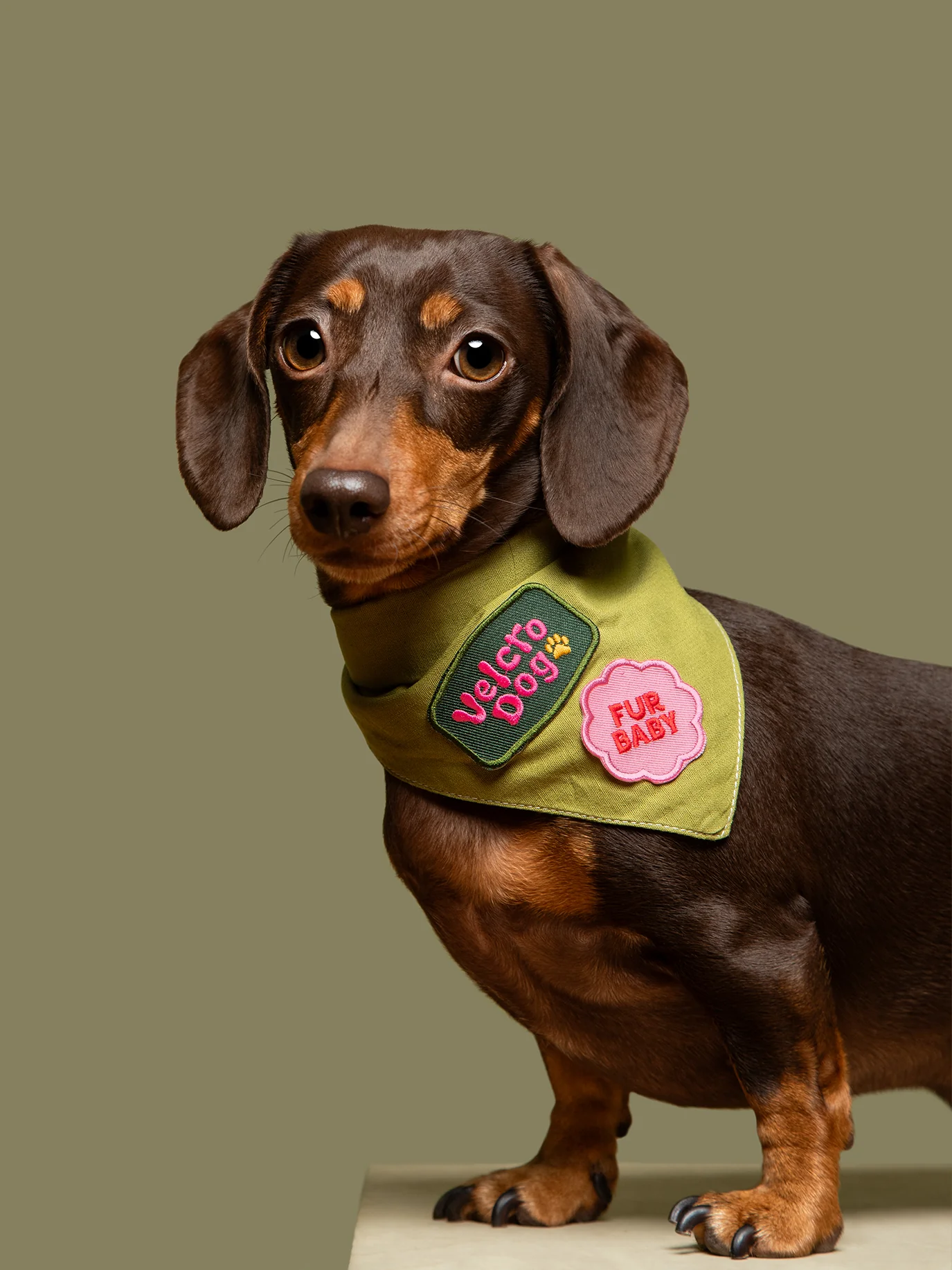 ScoutsHonour-2024-RachelOates-14.webp
