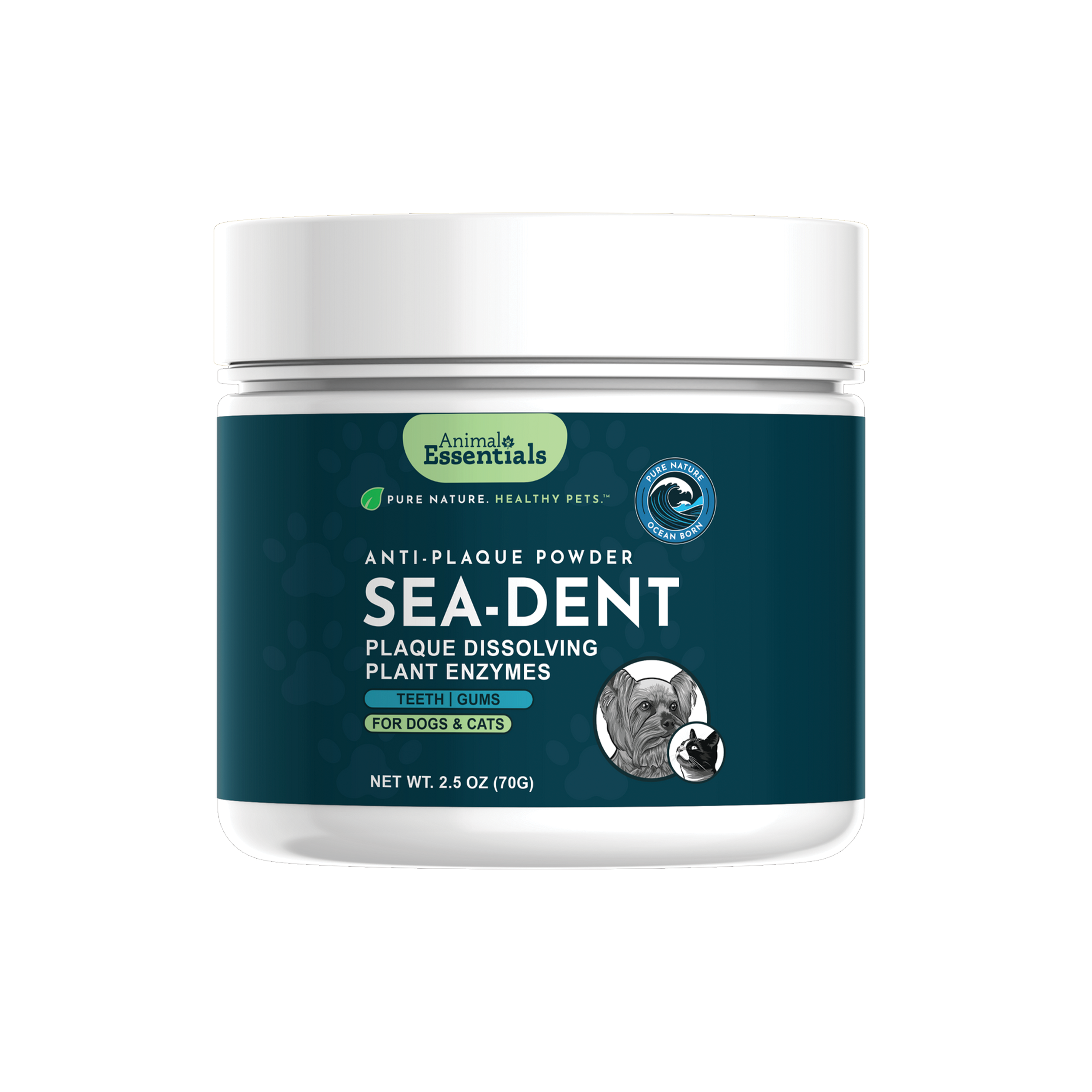 Sea-Dent-1.png
