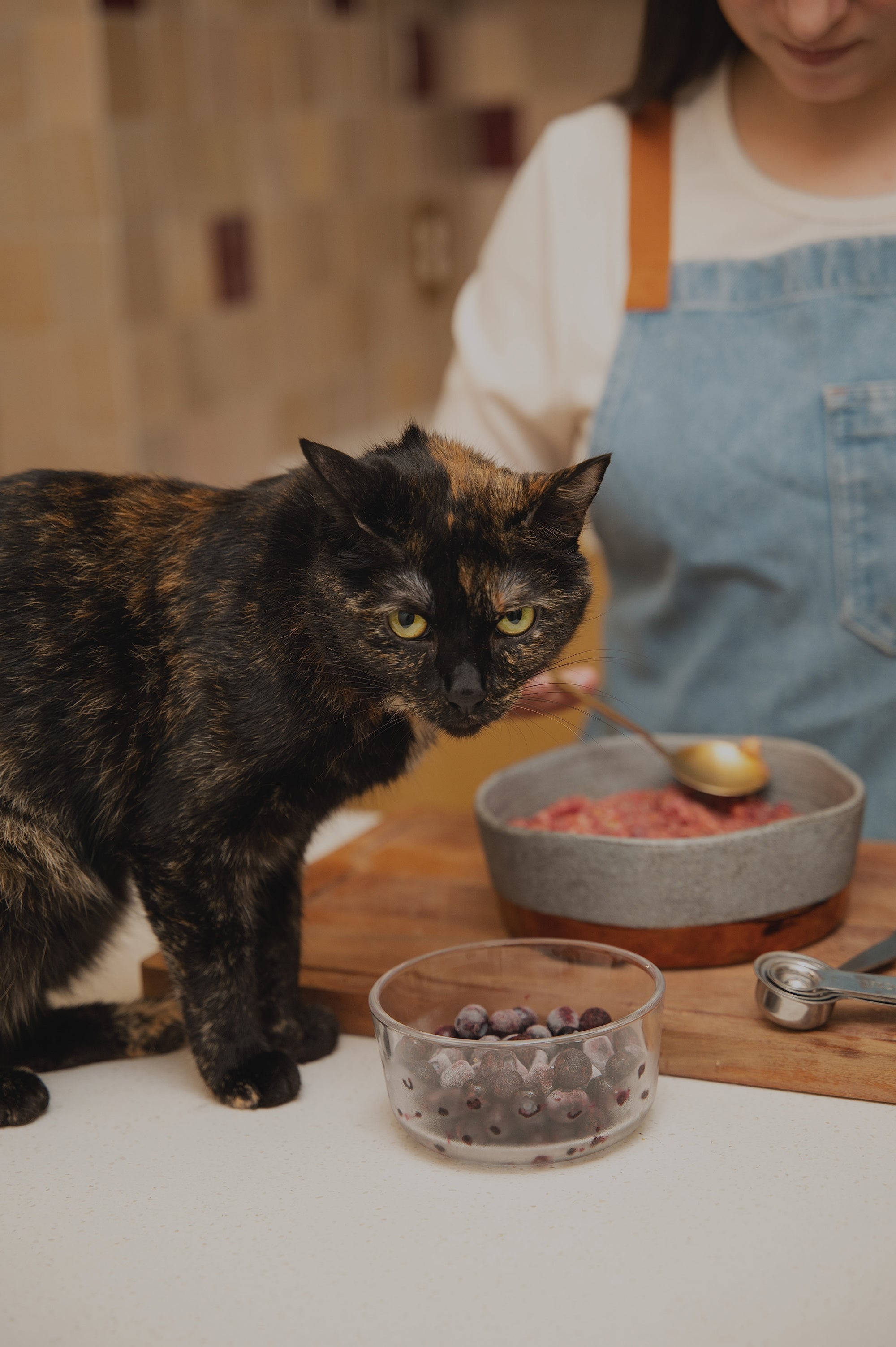 Shop-By-Cat.jpg