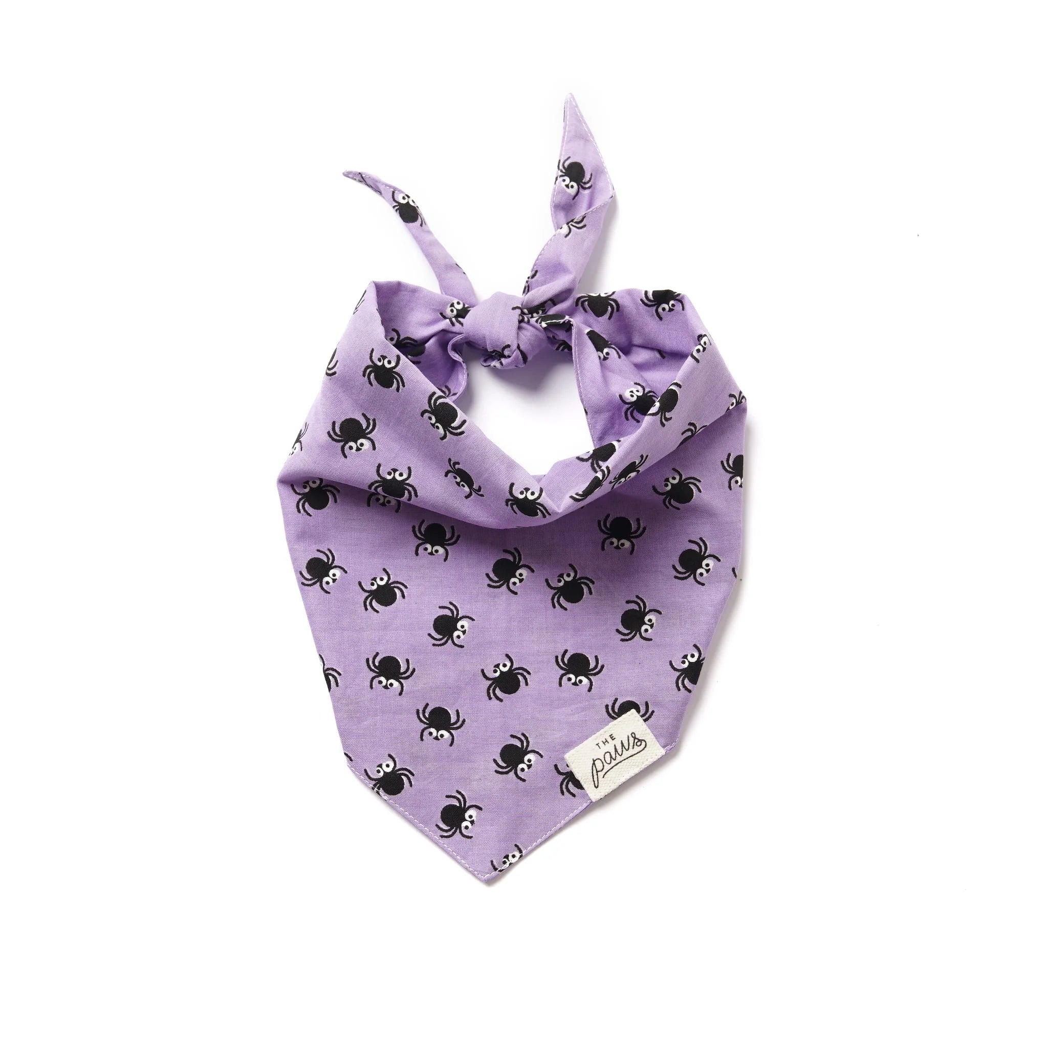 Spiders Dog Bandana