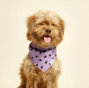 Spiders Dog Bandana
