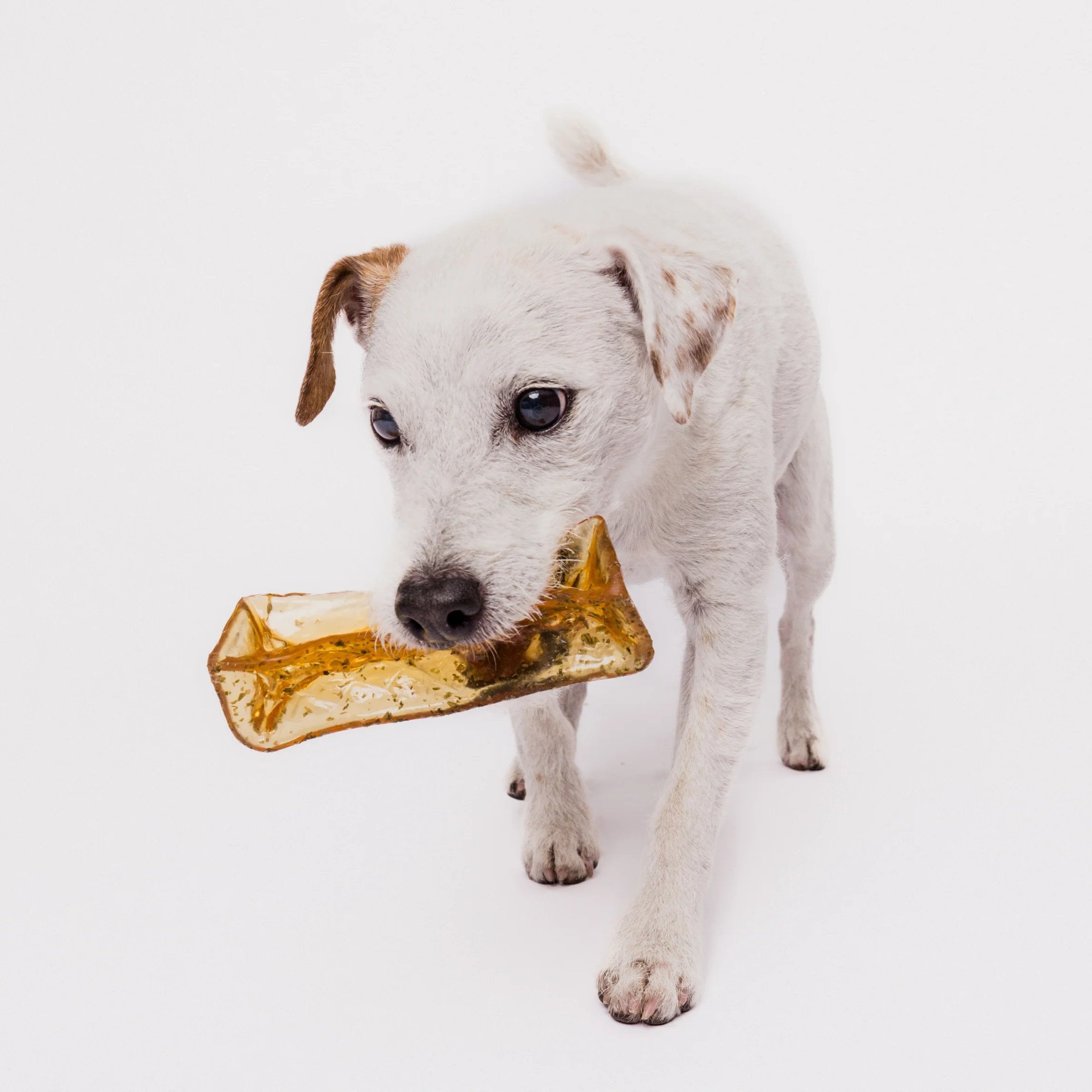 Mighty Marrow Collagen Chew