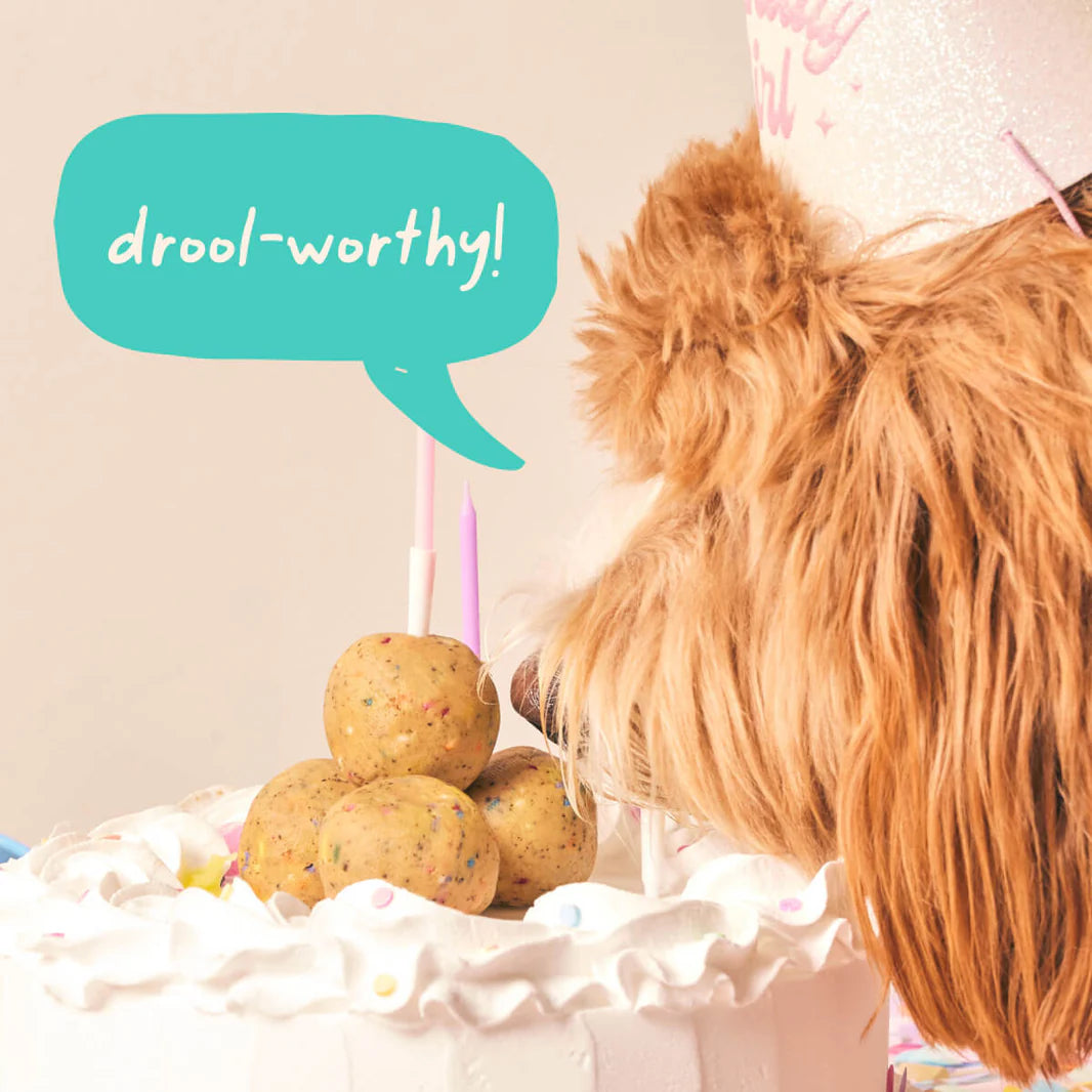 Woof_Pops_Birthday_Gallery_1200x1200_5_1.webp