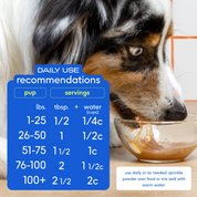 Chicken Bone Broth