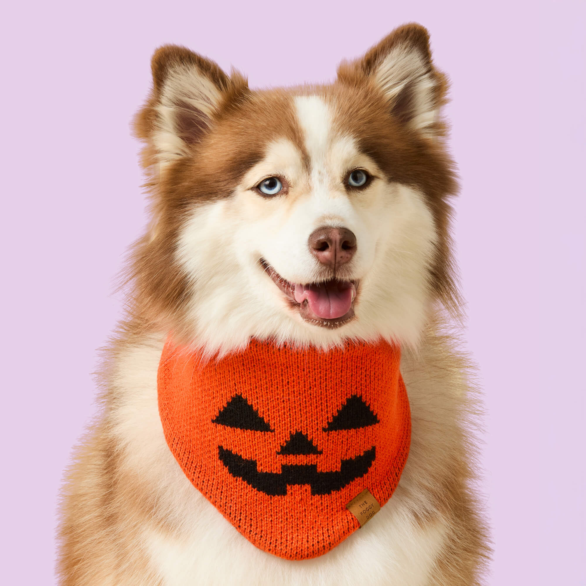 crop_JackOLantern_Knit_Bandana_25-06-26_0492.jpg