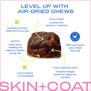 Skin + Coat